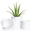 D'vine Dev 6.5 Inch 8 Inch 10 Inch, Set of 3 Plastic Planter Pots for Plants with Drainage Hole and Seamless Saucers, Black Color, Large, 74-V-B-4