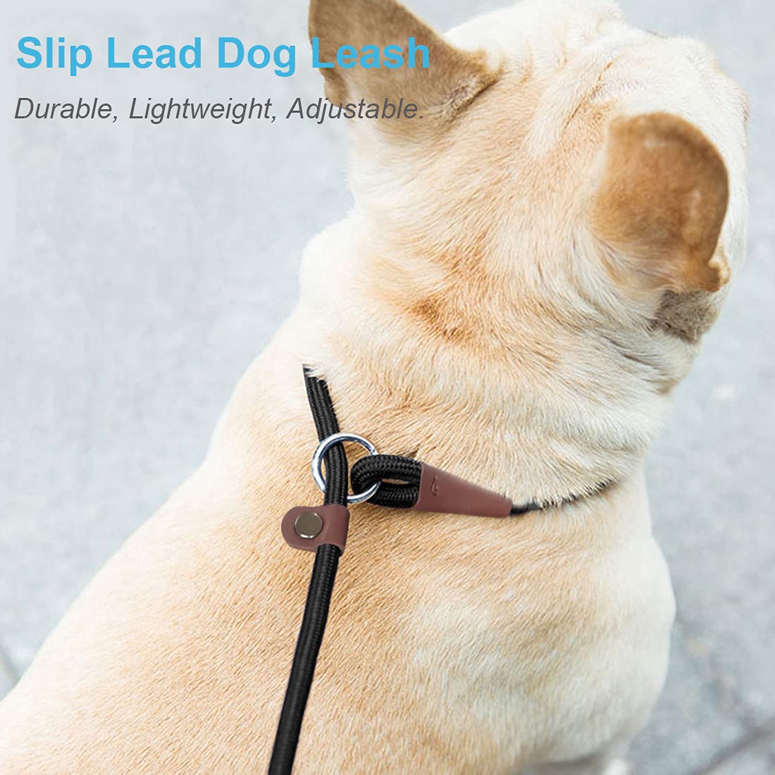 MayPaw Slip Lead Control Leash for Dogs No Pull, 13+ Colors Classic Dog Lead 7 FT Pet Slip Leash, 1/4” Rope Leashes for Small Medium Animals (7ft*1/4", Black)