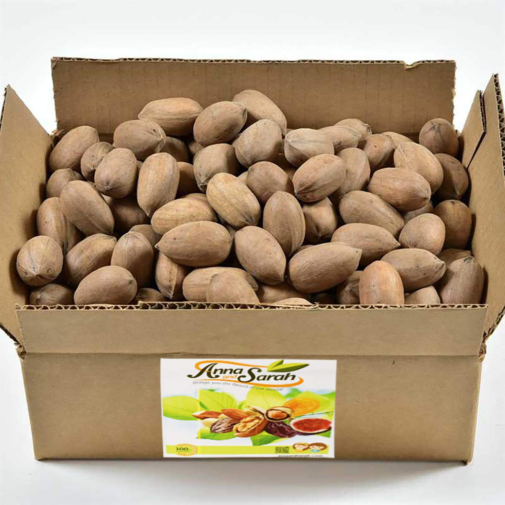 Anna and Sarah Premium Georgian Raw Fresh Pecans in Shell, 2 Lbs