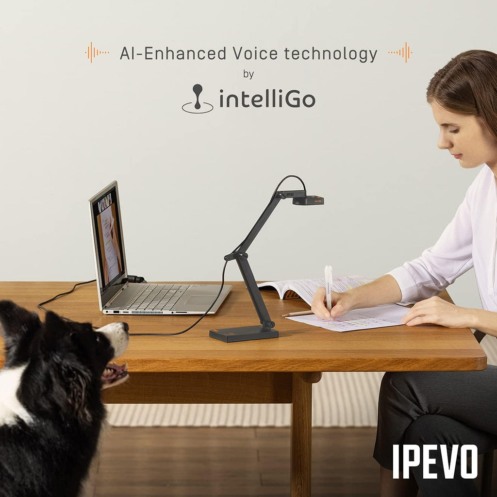 IPEVO V4K PRO Ultra HD USB Document Camera with AI-Enhanced Mic, for Classroom visualization, Online Teaching, Work from Home, Streaming, with Noise Cancellation for Clear Voice, Black