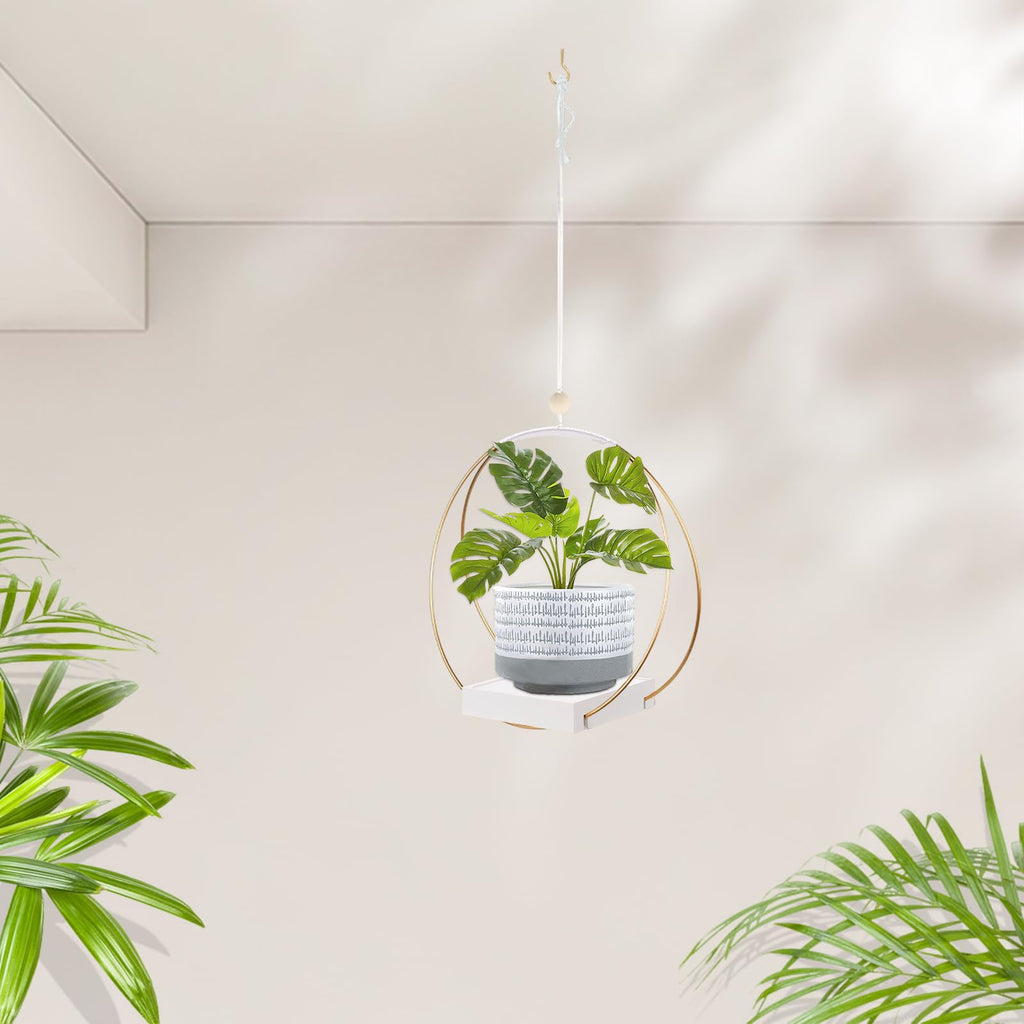 Hanging Planter for Indoor Plants, Black Plant Hanger Indoor with Sturdy Wood Base, Modern Boho Macrame Plant Hanger for 3-5.5 Inch Pot, Hanging Wall Ceiling Window Home Decor (Pots Not Included)