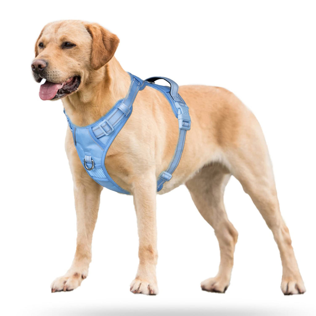 PoyPet Dog Harness No Pull, Reflective Vest Harness with Front & Back 2 Clips and Easy Control Handle for Small Medium Large Dog (XS, Black)