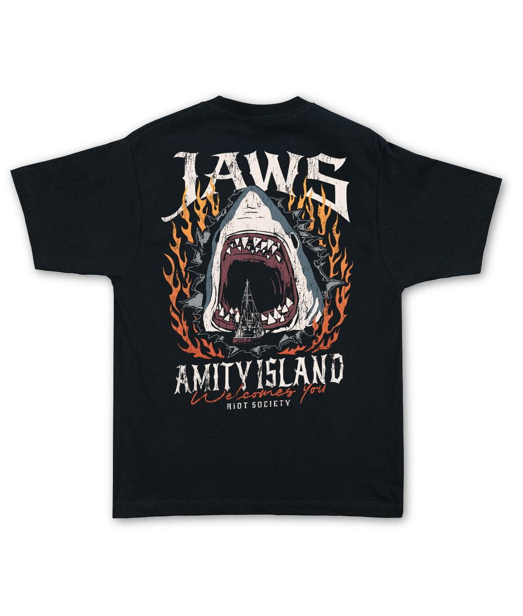 Riot Society Men's Short Sleeve Graphic and Embroidered Fashion T-Shirt