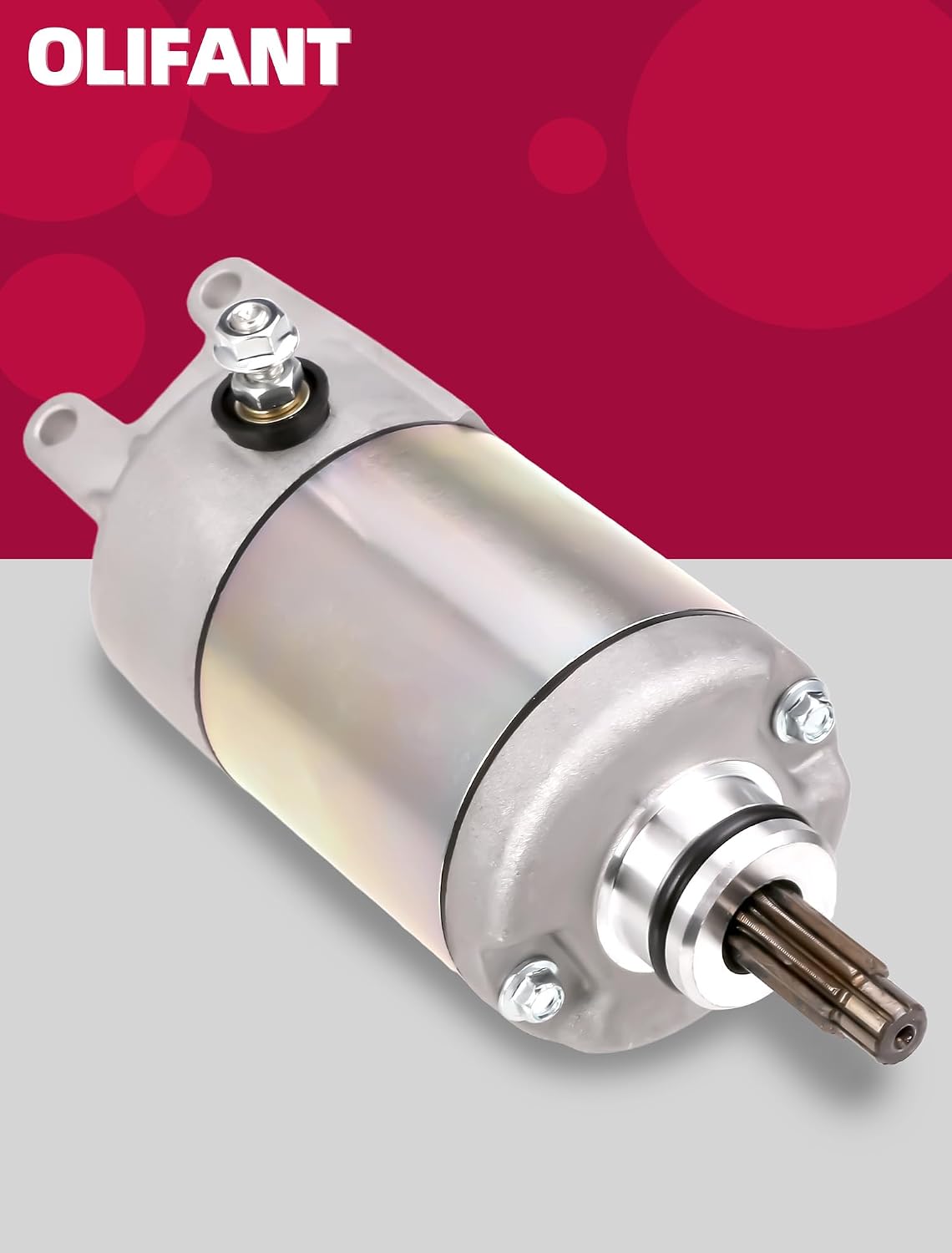 Starter Motor for Honda FourTrax 300 TRX300 TRX300FW ATV 1988-2000 TRX250 1987 ATC250 SX ATC 250 ES Big Red 246cc 31200-HC4-023 31200-HC4-033 SM13213 128000-4400 OLIFANT