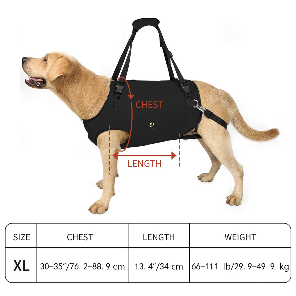 Coodeo Dog Lift Harness, Pet Support & Rehabilitation Sling Lift Adjustable Padded Breathable Straps for Old, Disabled, Joint Injuries, Arthritis, Loss of Stability Dogs Walk (Black, XS)