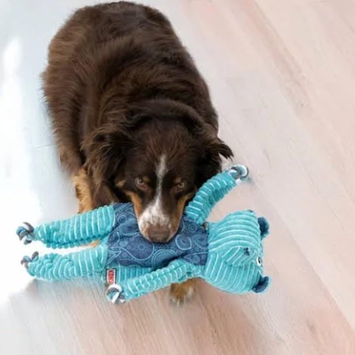 KONG Floppy Knots - Durable No‑Stuffing Squeaky Rope & Plush Dog Toy - for Teething, Playing (Bunny, Small/Medium)