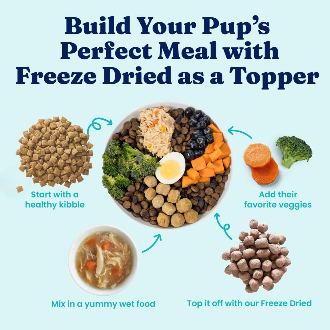 Solid Gold Toy & Small Breed Dry Dog Food Small Bites – Real Beef, Grain Free, Gluten Free, High Fiber Kibble with Probiotics for Gut Health & Digestion Support – Healthy Dog Food All Ages – 4LB