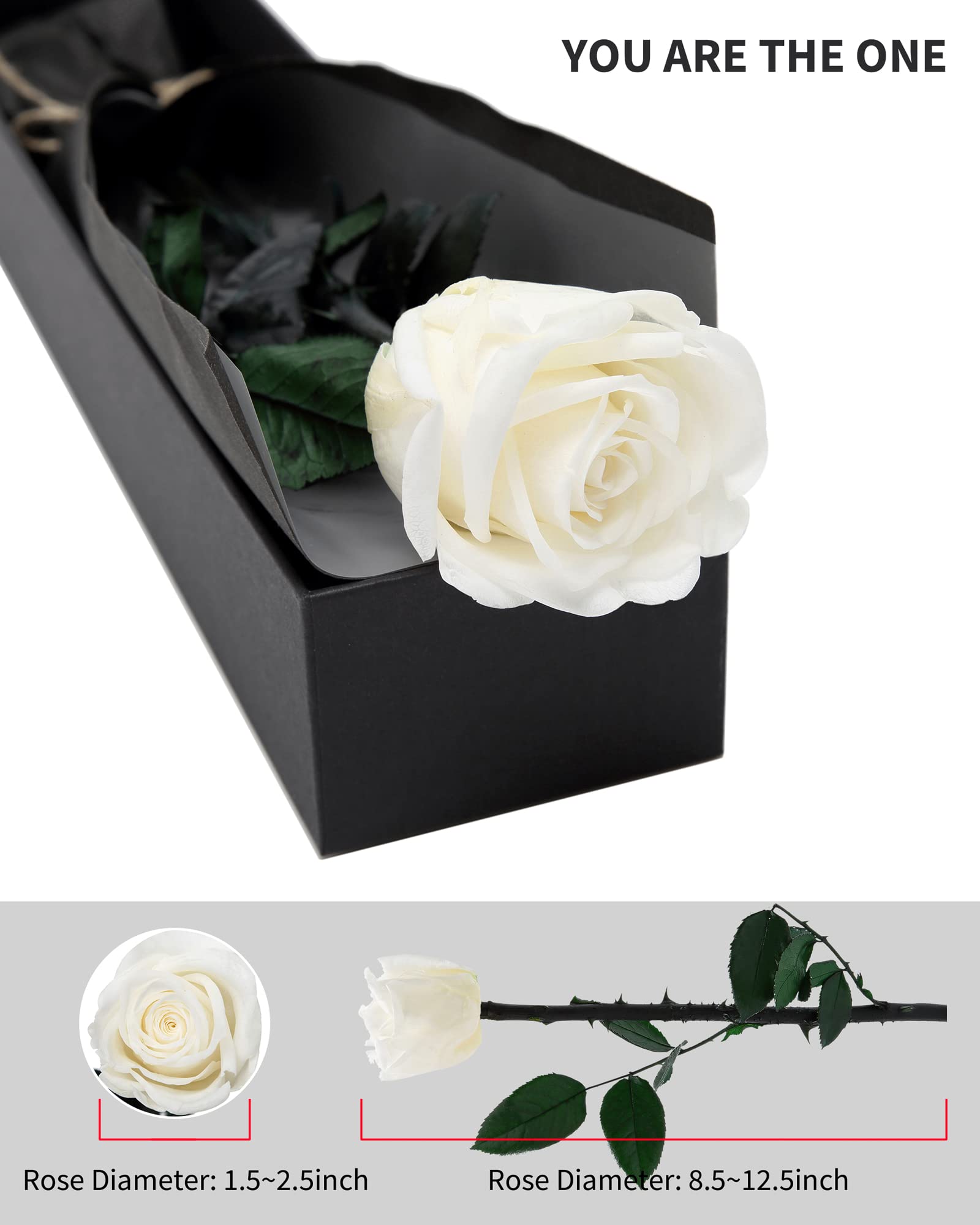 Flowers for Delivery Prime, Preserved Roses Flower Gifts for Women, Real Roses Single Rose Presents for Her, Mom Birthday Gifts from Daughter, Valentines Flowers Red Roses