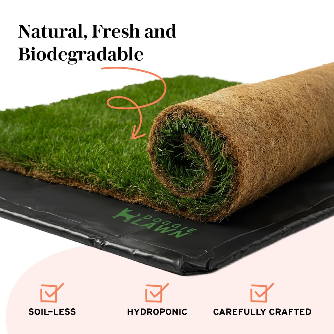 DoggieLawn XL - Real Grass Disposable Potty Training Puppy Pee Pads, Dog Grass Pee Pad, Potty Training Pee Pad, Puppy and Dogs Grass Pee Pads, Puppy Grass Pads, 48 x 24 Inches with Reusable FlexTray