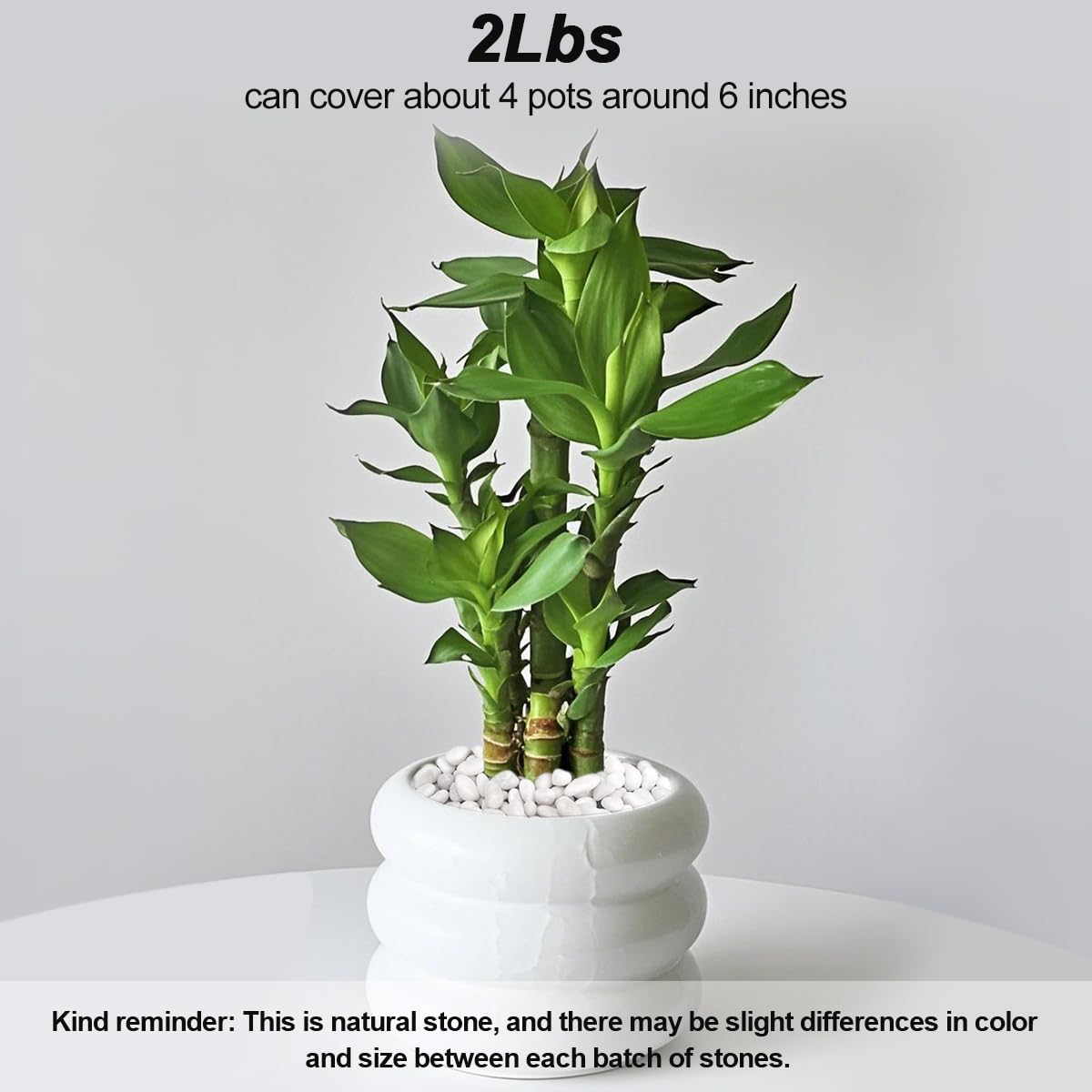 Terrarium Supplies,Virekm River Rocks, Decorative Ornamental Pebbles,Garden Landscaping Stones,Gravel Filler for Home Decoration Flower Bed Fish Tank Plants Vases Succulents