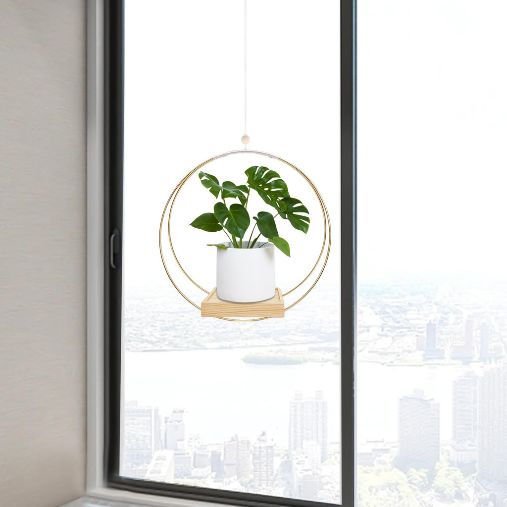 Hanging Planter for Indoor Plants, Black Plant Hanger Indoor with Sturdy Wood Base, Modern Boho Macrame Plant Hanger for 3-5.5 Inch Pot, Hanging Wall Ceiling Window Home Decor (Pots Not Included)