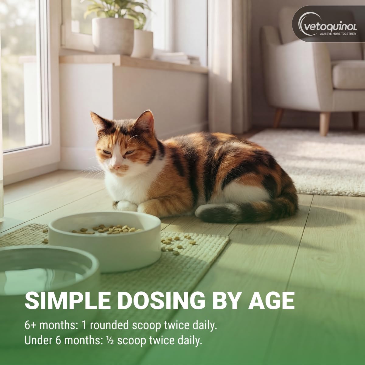Vetoquinol Viralys - Lysine Supplement for Cats & Kittens - Supports Eye Wellness, Respiratory Health & Immune Strength - Flavored Oral Powder for Easy Feeding & Daily Use - 100 Grams