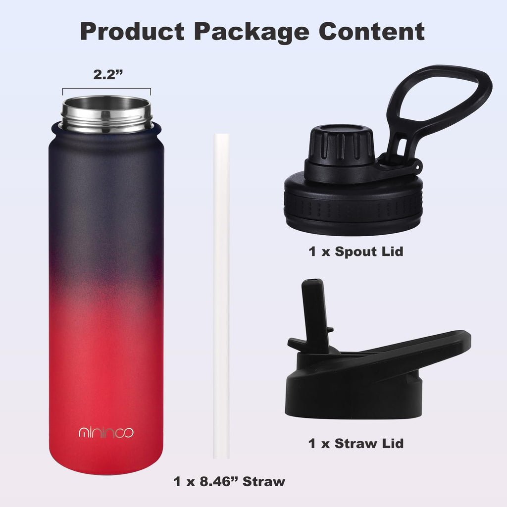 mininoo 24 oz Insulated Water Bottle with Straw Lid, Stainless Steel Double Wall Vacuum, Leak Proof, BPA Free, Keep Cold for 24H & Hot for 12H-2 pack(Black)
