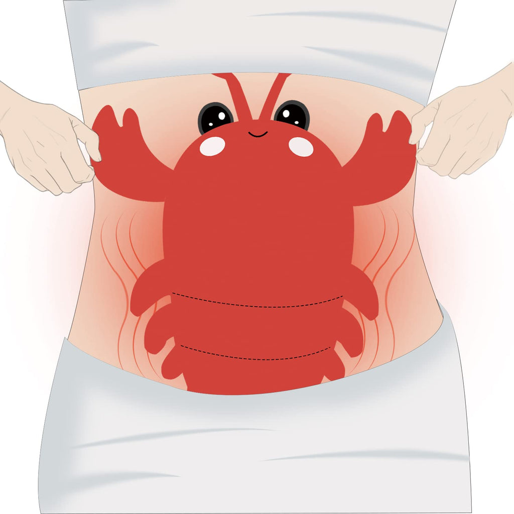 Microwavable Heating Pad for Cramps, Cuddly Warming Pillow, Cute Lobster Plush with Heating Pad (Mullticolor)
