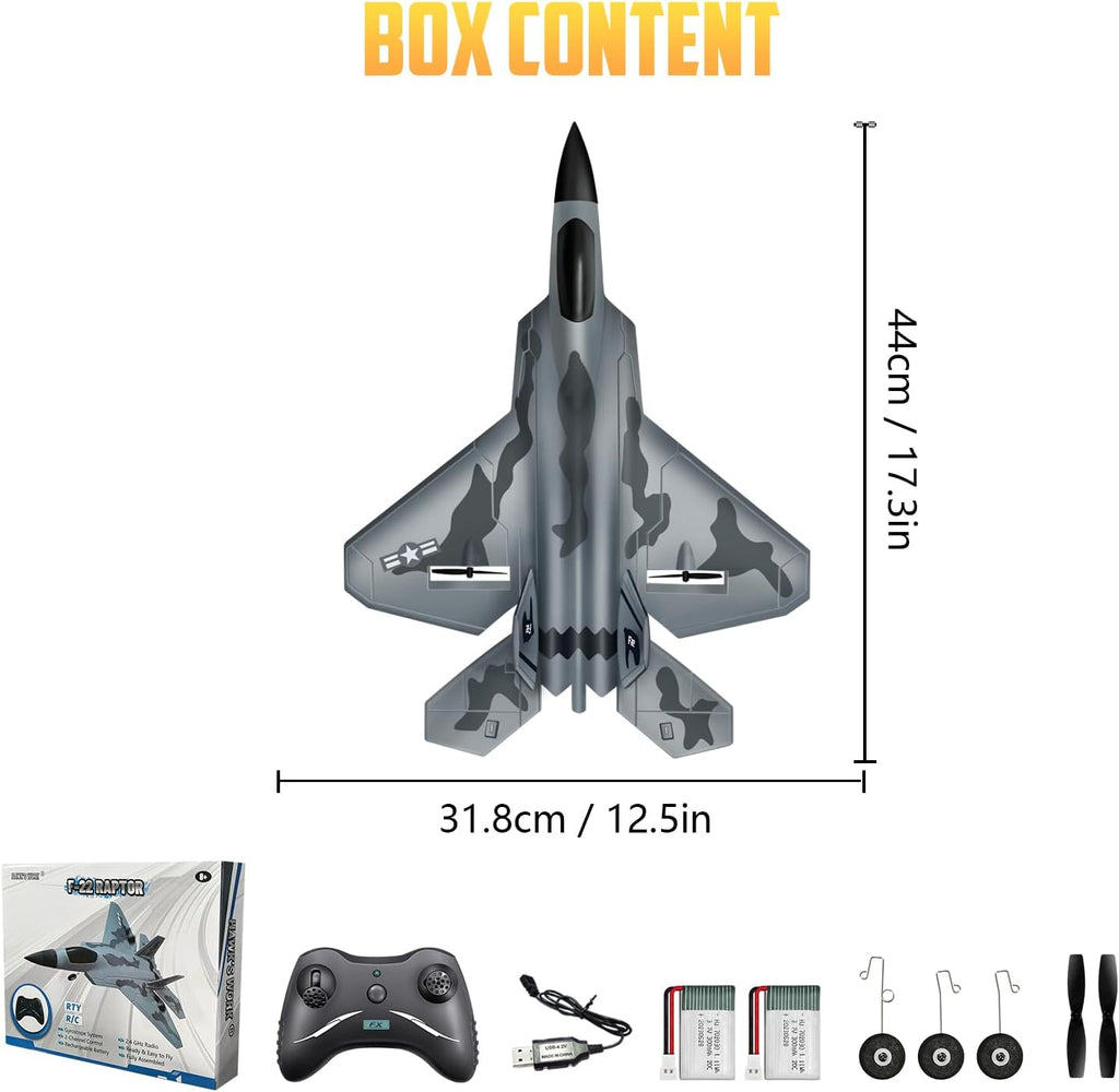 HAWK'S WORK 2 CH RC Airplane, F-22 Plane Ready to Fly, 2.4GHz Remote Control, Easy to Fly RC Glider for Kids & Beginners