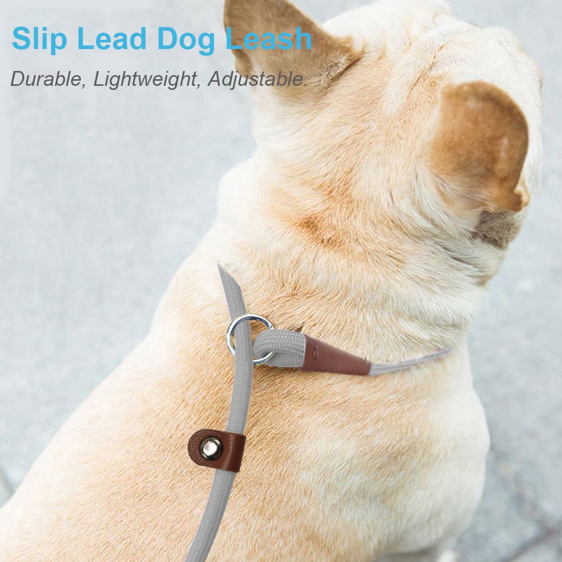 MayPaw Slip Lead Control Leash for Dogs No Pull, 13+ Colors Classic Dog Lead 7 FT Pet Slip Leash, 1/4” Rope Leashes for Small Medium Animals (7ft*1/4", Black)