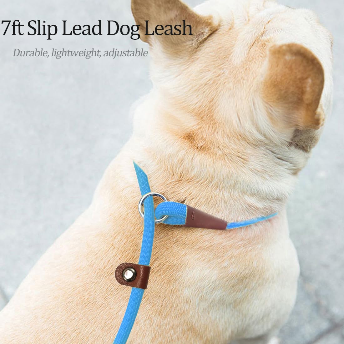 MayPaw Slip Lead Control Leash for Dogs No Pull, 13+ Colors Classic Dog Lead 7 FT Pet Slip Leash, 1/4” Rope Leashes for Small Medium Animals (7ft*1/4", Black)