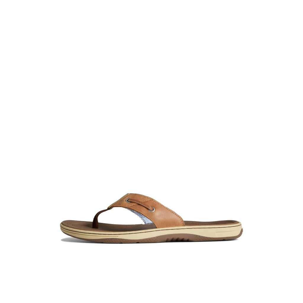 Sperry mens Baitfish ThongSandals