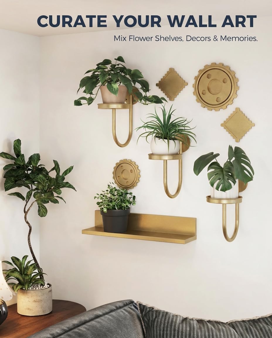 Bamworld Hanging Planters for Indoor Plants Wall Plant Holder Plant Hanger Indoor Wall Planters Window Plant Shelves Hanging Plant Holder Window Plant Hanger Plant Decor Black 3pcs