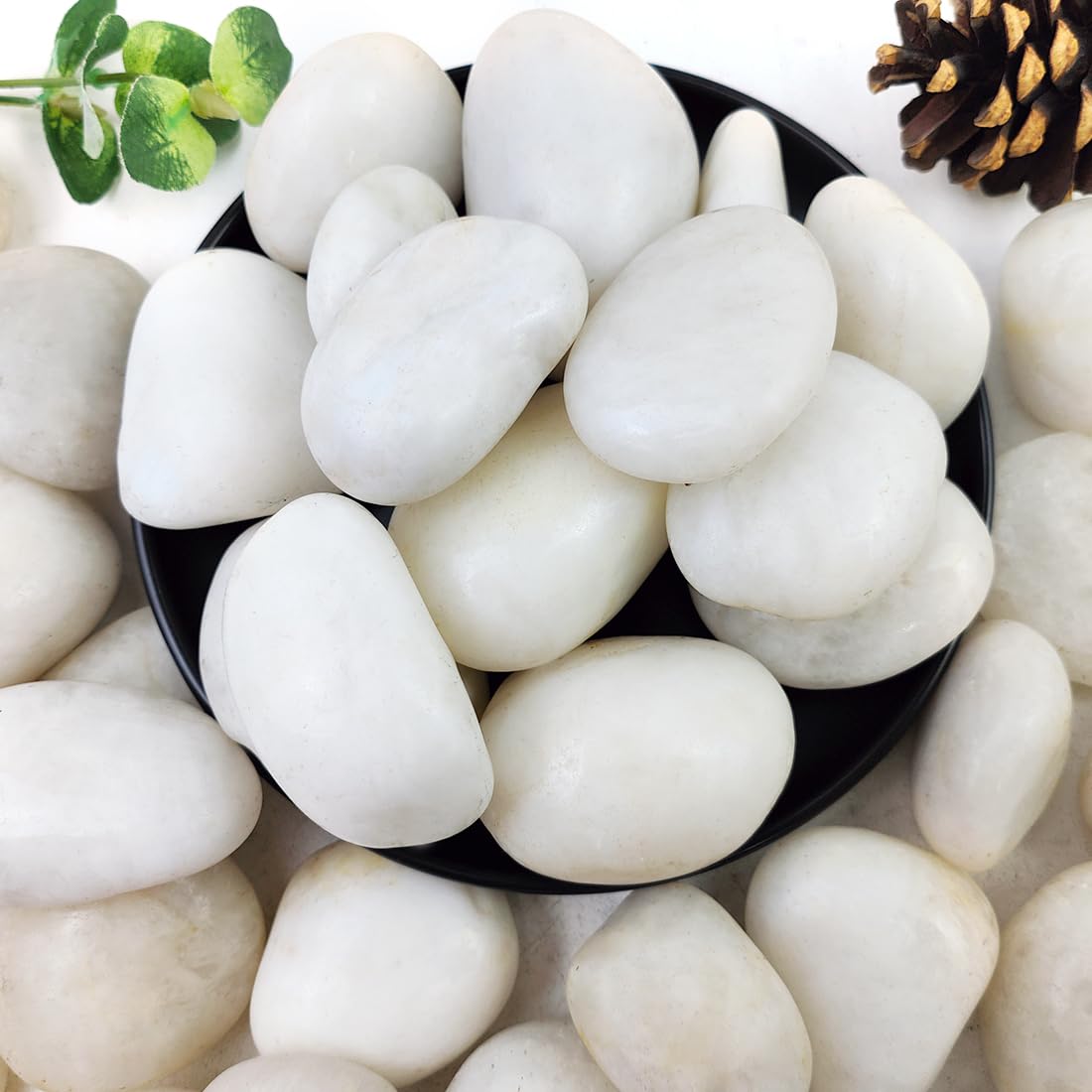 YISZM 5lbs Black Pebbles for Plants, 2-3 Inch High Polished Natural Large River Rocks for Landscaping, Decorative Stones Vase Filler Fish Tank Aquariums Garden Outdoor and Indoor DIY