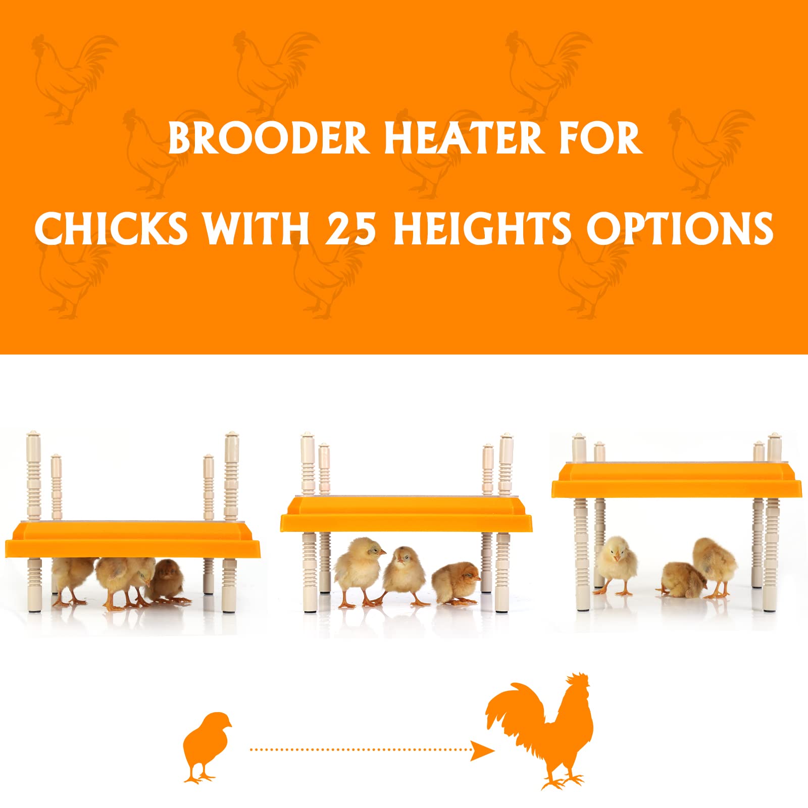 Brooder Heater for Chicks: Chick Brooder Heating Plate with Easy- Cleaning Plate Poultry Coop Heater Chicks Warmer 10" x 10" for 15 Chicks Adjustable Height Brooding Heater 15 Watts
