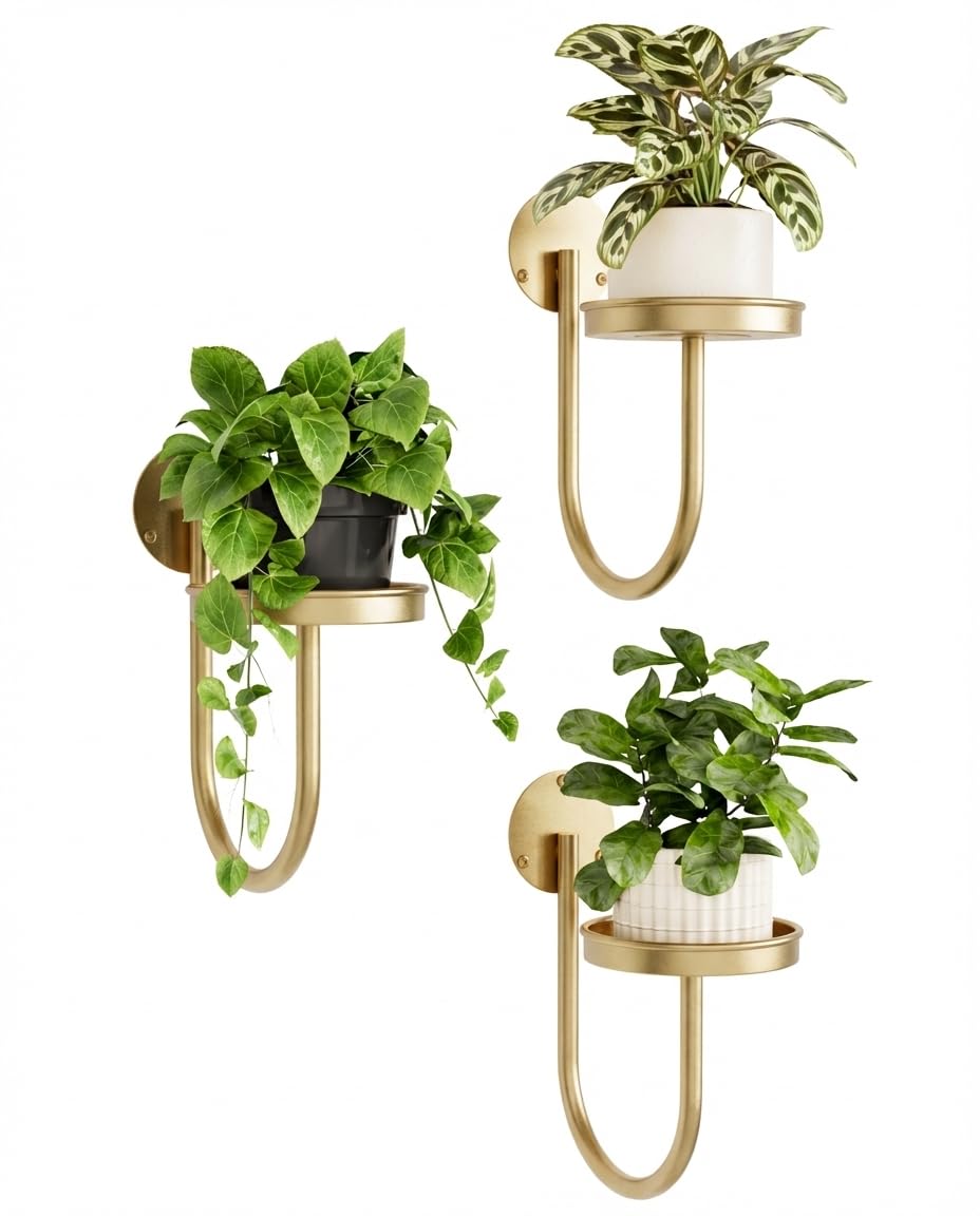 Bamworld Hanging Planters for Indoor Plants Wall Plant Holder Plant Hanger Indoor Wall Planters Window Plant Shelves Hanging Plant Holder Window Plant Hanger Plant Decor Black 3pcs