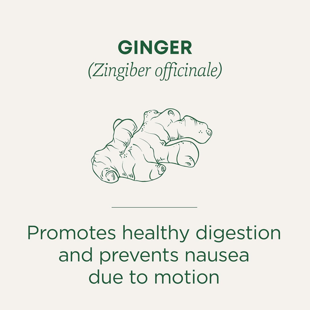 Traditional Medicinals Tea, Organic Ginger, Healthy Digestion, Pleasantly Spicy & Warming, Kosher, Non-GMO, Caffeine-Free, Compostable - 96 Tea Bags (6 Pack)
