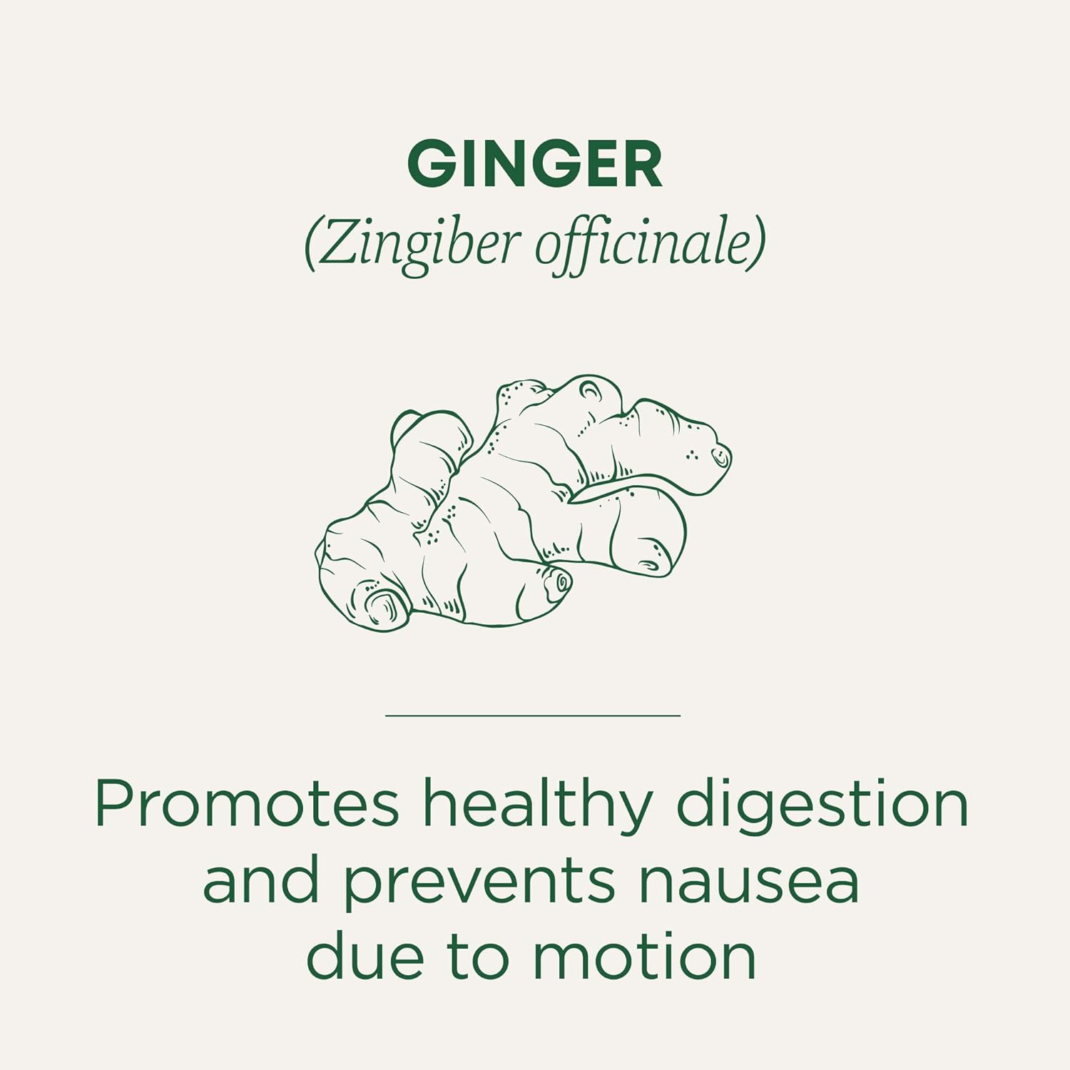 Traditional Medicinals Tea, Organic Ginger, Healthy Digestion, Pleasantly Spicy & Warming, Kosher, Non-GMO, Caffeine-Free, Compostable - 96 Tea Bags (6 Pack)