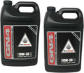 Honda GN4 10W-30 Motorcycle Oil - 2 Gallons