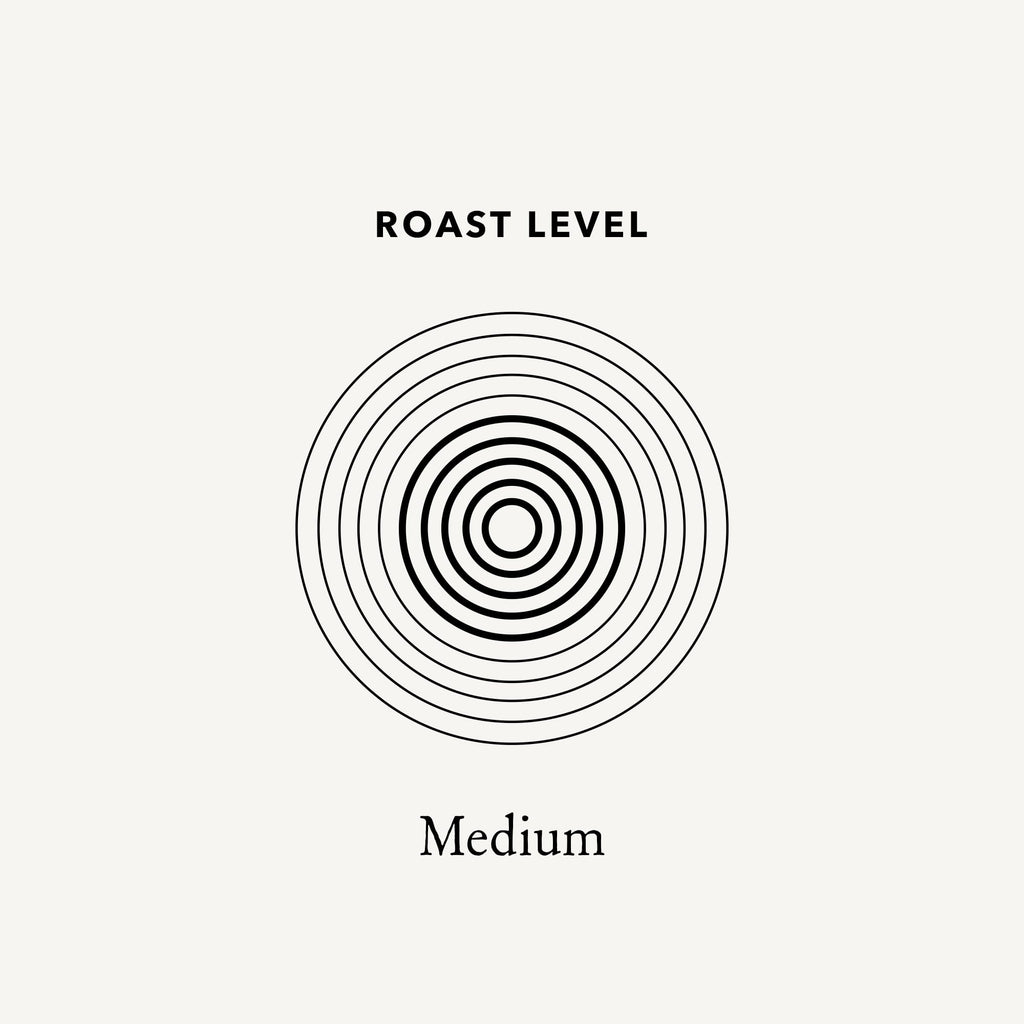Mt. Comfort Coffee Costa Rica Medium Roast, 2.5lb - Sourced From Local, Costa Rican Coffee Farms - Roasted Whole Bean