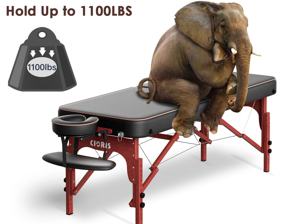 CLORIS 84" Professional Massage Table Portable Reinforced Wooden Leg 2 Folding Lightweight Spa Salon Tattoo Massage Bed Height Adjustable Hold Up to 1100LBS with Carrying Bag Black