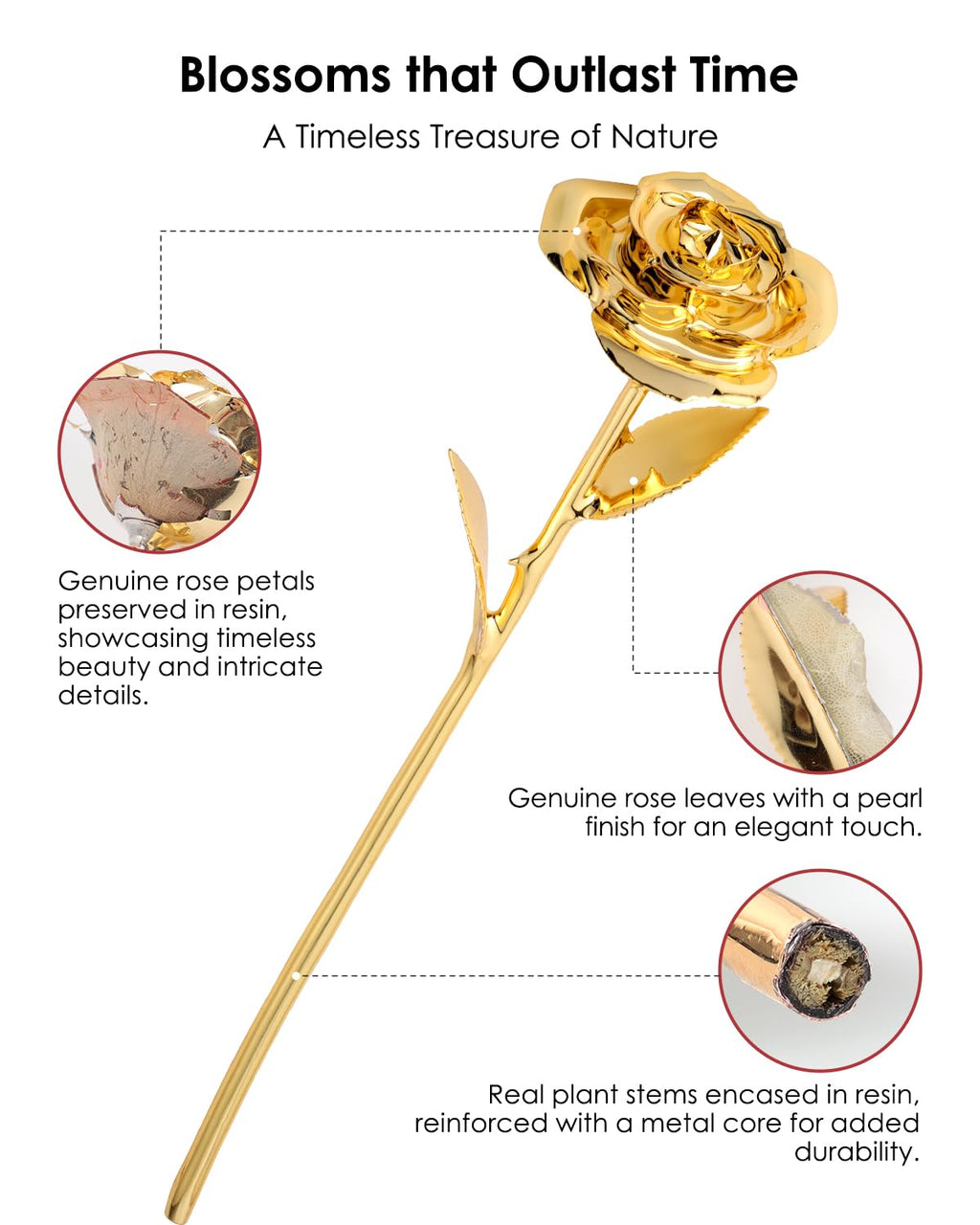 24K Gold Dipped Real Rose – Handcrafted, Bold, One of a Kind – Romantic Gift for Her – Ideal for Birthday, Anniversary, Mother’s Day, Valentine’s (Black)