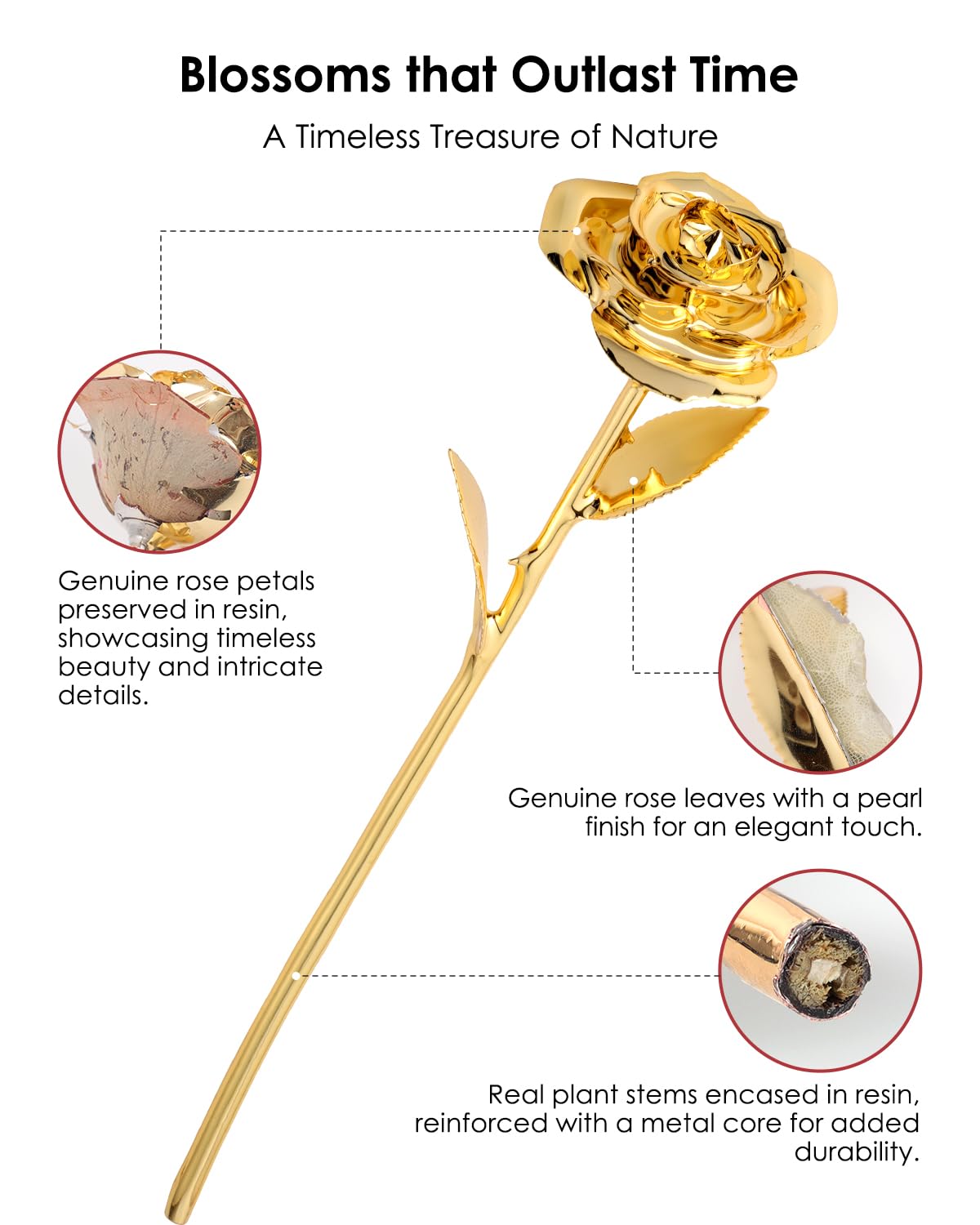 24K Gold Dipped Real Rose – Handcrafted, Bold, One of a Kind – Romantic Gift for Her – Ideal for Birthday, Anniversary, Mother’s Day, Valentine’s (Black)
