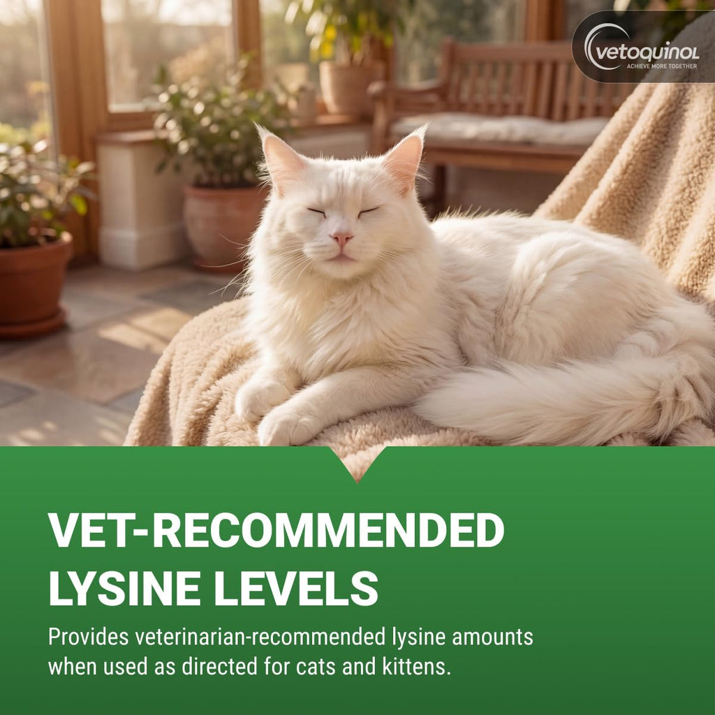 Vetoquinol Viralys - Lysine Supplement for Cats & Kittens - Supports Eye Wellness, Respiratory Health & Immune Strength - Flavored Oral Powder for Easy Feeding & Daily Use - 100 Grams