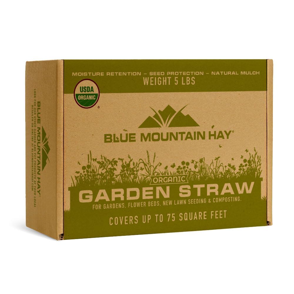 Blue Mountain Hay Organic Garden Straw (5 lb) - Natural Mulch for Gardening, Flower Beds & Landscaping, New Lawn Grass Seeding, Compost, Raised Garden Bed, Cat Grass & Grass Seed