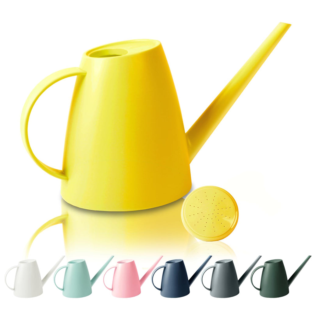 60 oz Watering Can for Indoor Plants, Small Plastic Watering Cans with Removable Nozzle, Long Spout Indoor Water Can for House Plants, Garden Flowers (1.8L 1/2 Gal)