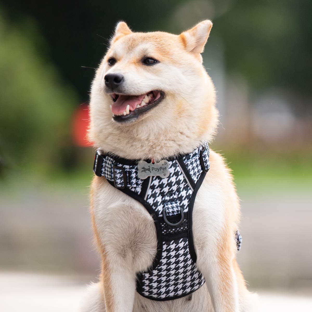 PoyPet Dog Harness No Pull, Reflective Vest Harness with Front & Back 2 Clips and Easy Control Handle for Small Medium Large Dog (XS, Black)