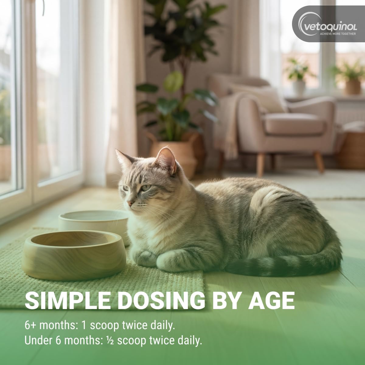 Vetoquinol Viralys - Lysine Supplement for Cats & Kittens - Supports Eye Wellness, Respiratory Health & Immune Strength - Flavored Oral Powder for Easy Feeding & Daily Use - 100 Grams