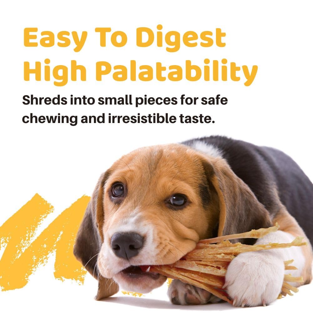 iPaw Turkey Tendons for Dogs 10 Pcs Bulk Pack, 100% Turkey and US Sourced Raw Material, Hypoallergenic, All Natural Human Grade Puppy Chew, Rawhide Alternative Dog Treats, Bone (Large)