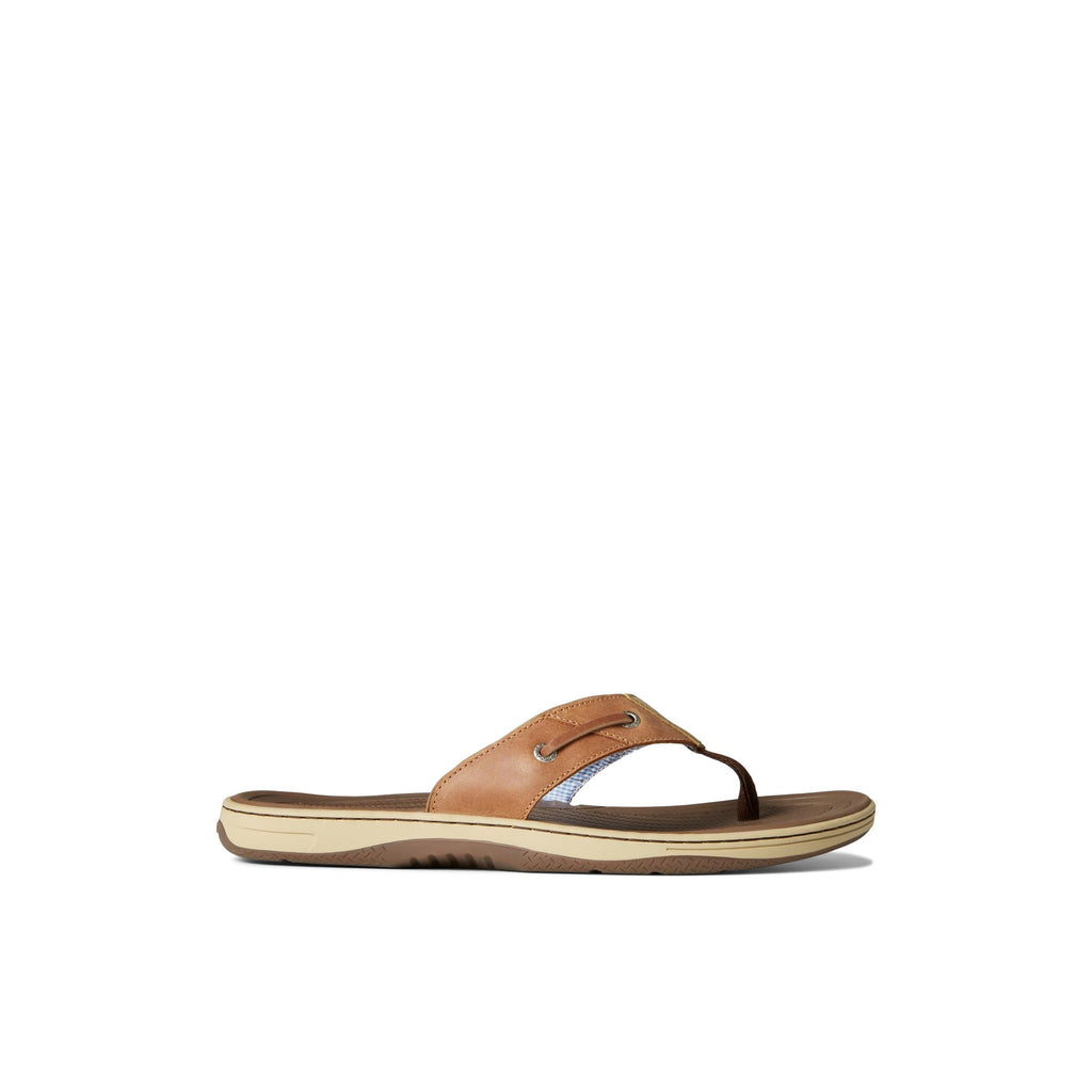 Sperry mens Baitfish ThongSandals