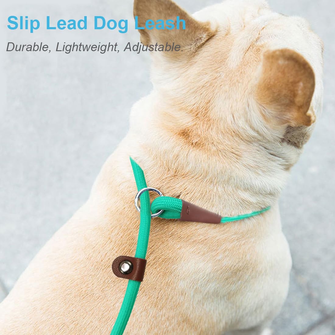 MayPaw Slip Lead Control Leash for Dogs No Pull, 13+ Colors Classic Dog Lead 7 FT Pet Slip Leash, 1/4” Rope Leashes for Small Medium Animals (7ft*1/4", Black)