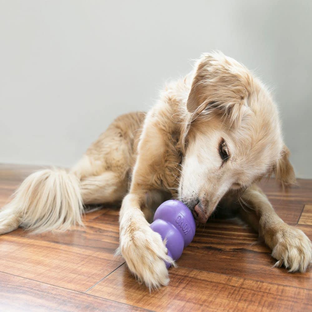 KONG Senior - Dog Toy with Gentle, Natural Rubber - Durable Dog Toy for Older Dogs - Use Treats with Stuffable Chew Toy - Treat Toy for Chewing & Fetching - for Small Dogs