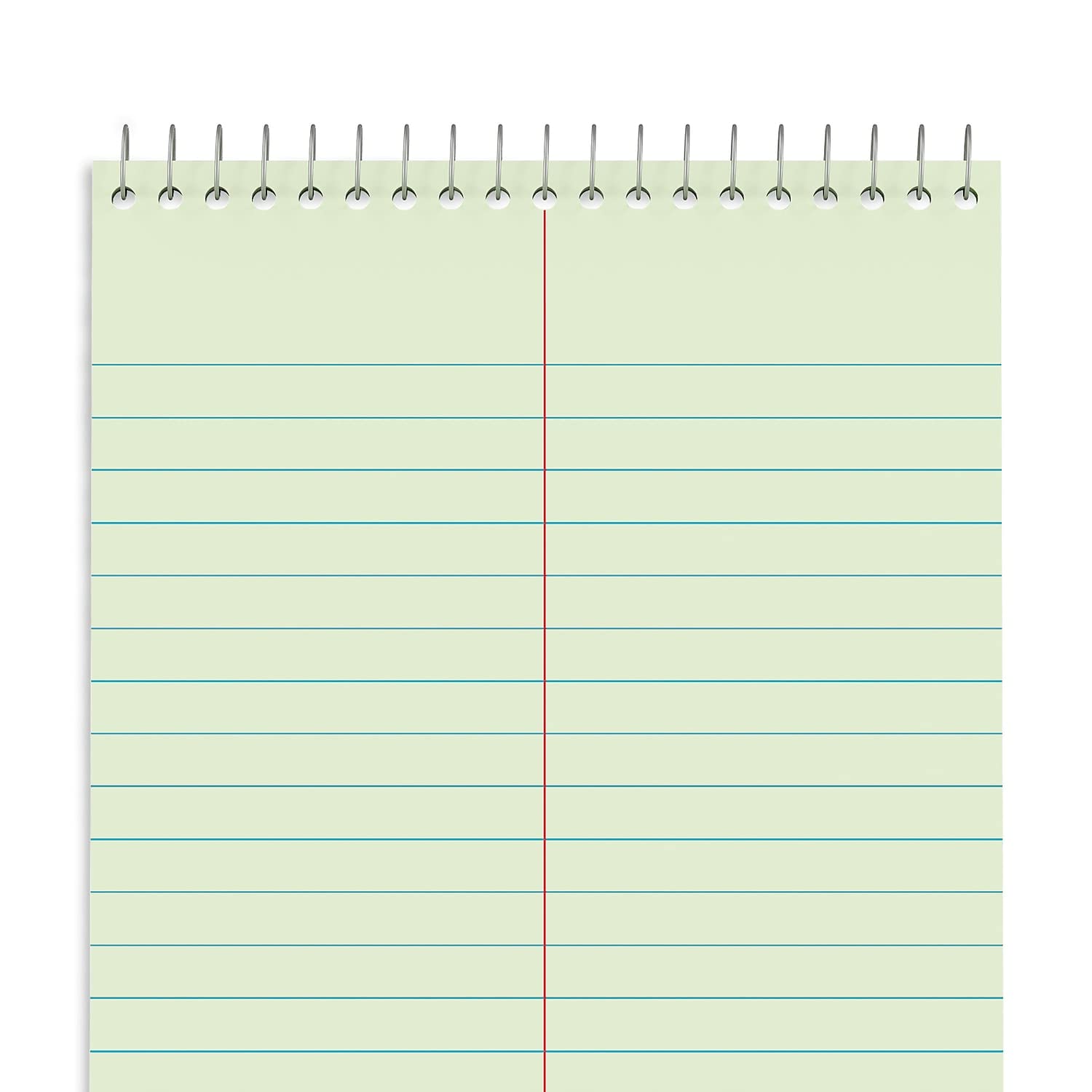 STAPLES Steno Pads, 6” x 9”, Gregg Ruled, Green Paper, 12‑Pack