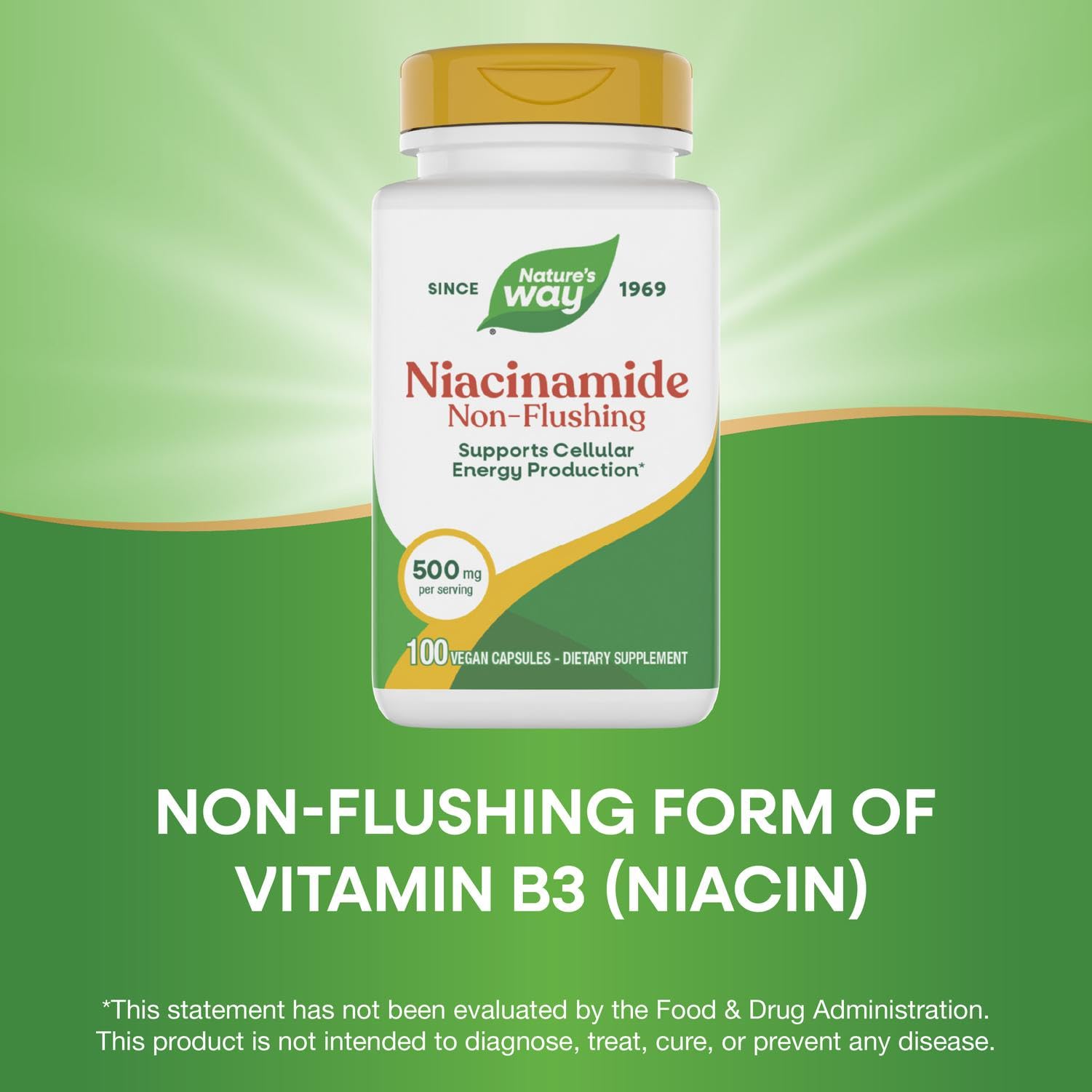 Nature's Way, Niacinamide, 500 mg, 100 Capsules