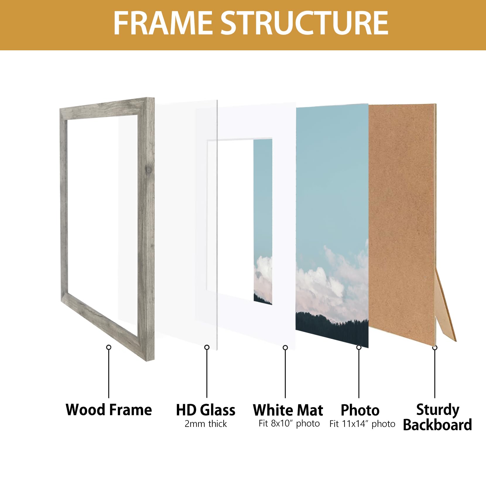 Califortree Black 11x14 Picture Frame - Display Photos 8x10 with Mat or 11x14 Without Mat - HD Glass Inside, Set of 2