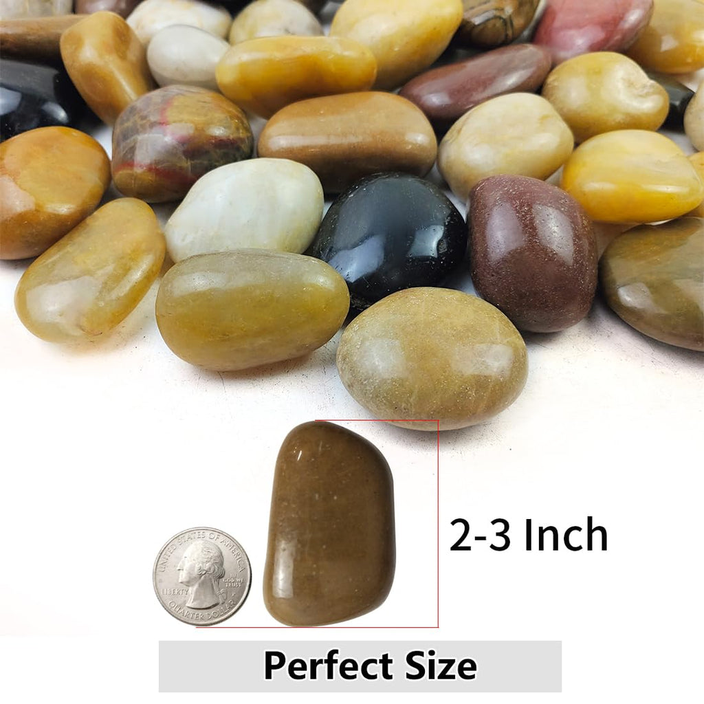 YISZM 5lbs Black Pebbles for Plants, 2-3 Inch High Polished Natural Large River Rocks for Landscaping, Decorative Stones Vase Filler Fish Tank Aquariums Garden Outdoor and Indoor DIY