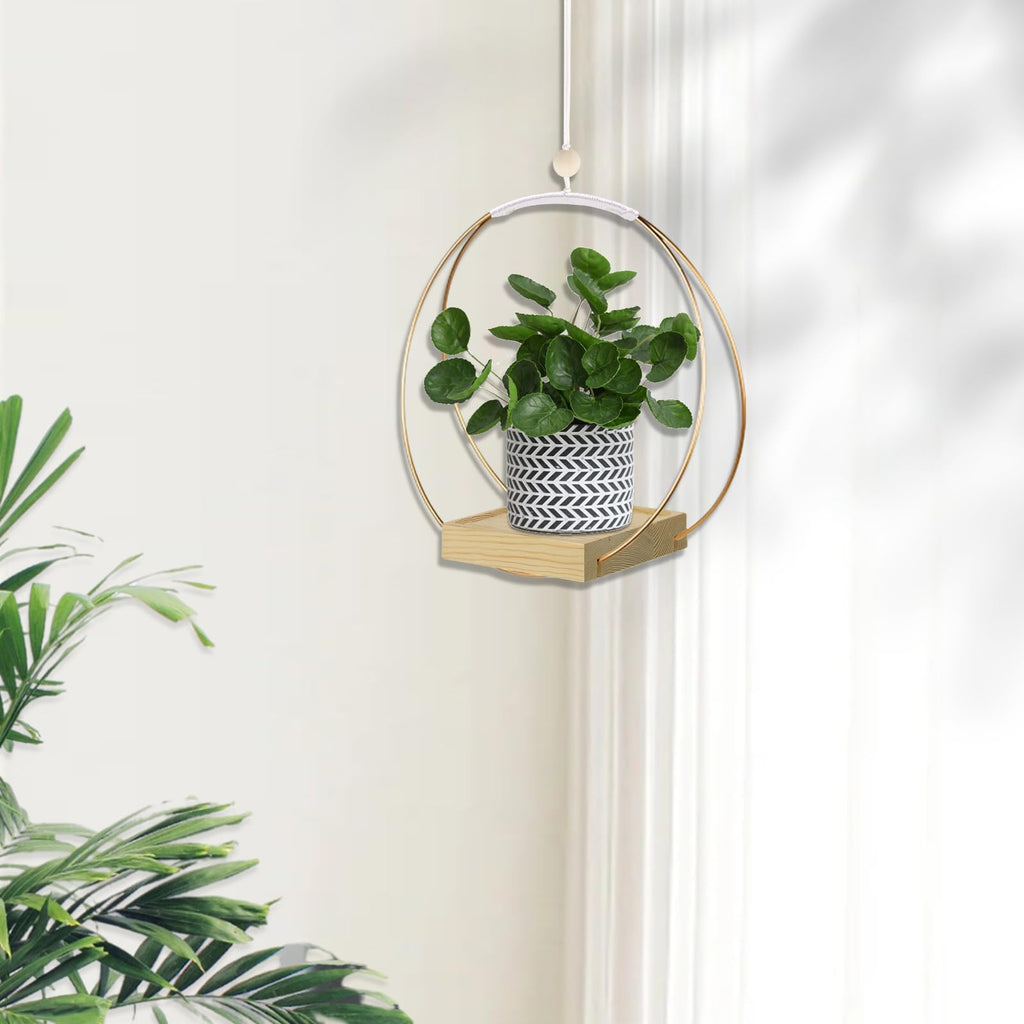 Hanging Planter for Indoor Plants, Black Plant Hanger Indoor with Sturdy Wood Base, Modern Boho Macrame Plant Hanger for 3-5.5 Inch Pot, Hanging Wall Ceiling Window Home Decor (Pots Not Included)