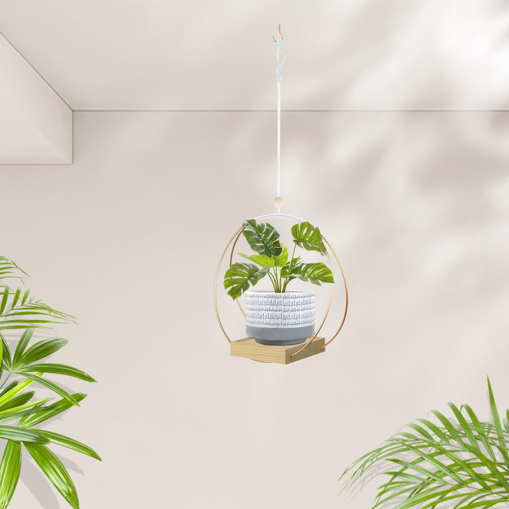 Hanging Planter for Indoor Plants, Black Plant Hanger Indoor with Sturdy Wood Base, Modern Boho Macrame Plant Hanger for 3-5.5 Inch Pot, Hanging Wall Ceiling Window Home Decor (Pots Not Included)