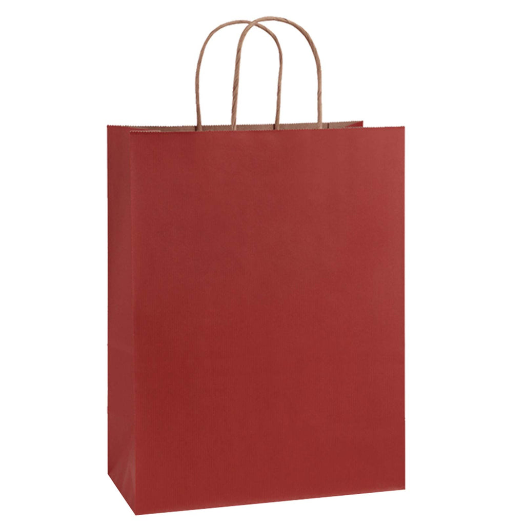 BagDream Gift Bags 10x5x13 25Pcs Kraft Paper Shopping Bags with Handles, for Gifts, Business, Merchandise, Retail, Party Favor, Black Recycled Paper Sacks