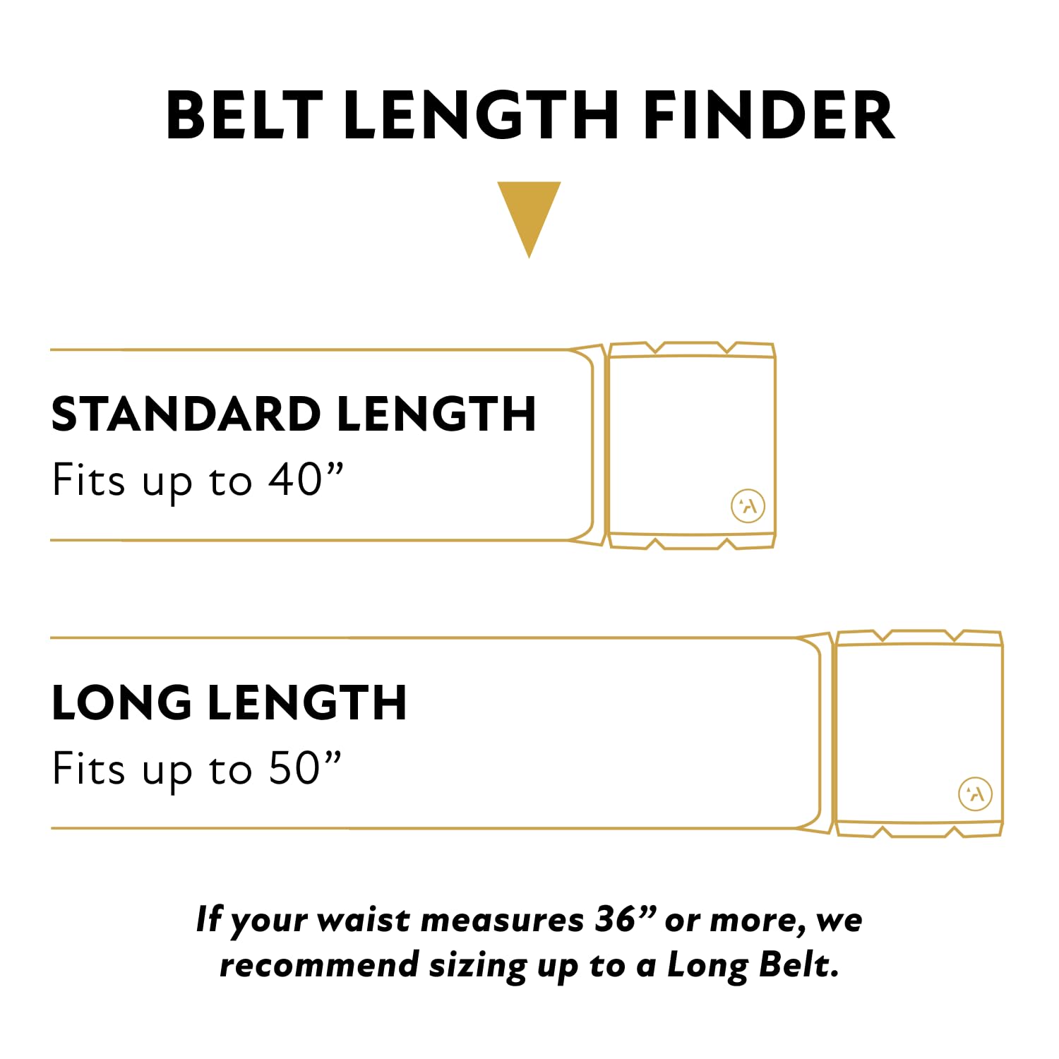 Arcade The Original Slim Unisex Adventure Belt, Narrow Width Elastic Stretch Webbing, Micro Adjust Buckle